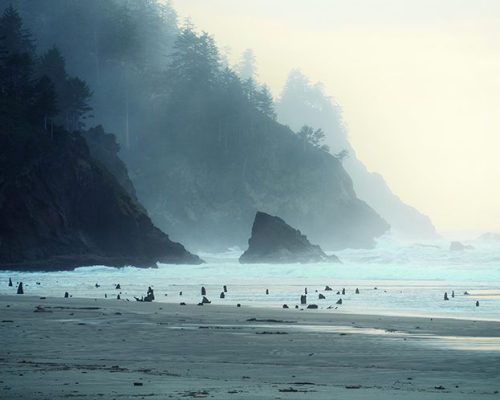 302-Looking-south-on-a-misty-day