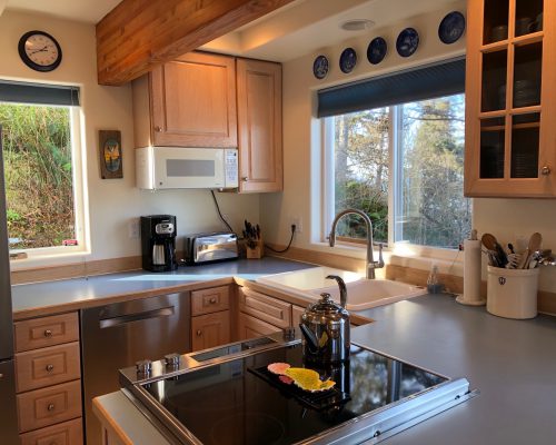32 Neskowin South IMG_1890