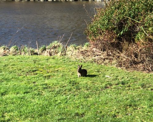 Neskowin Resort 119 IMG_4096