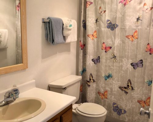 Neskowin Resort 212 IMG_4249