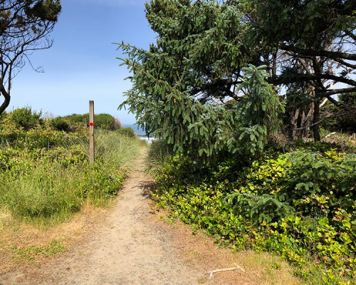 beach-path (1)