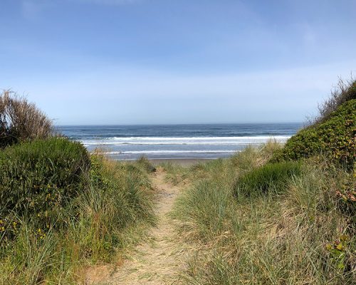 closer-view-of-beach-path