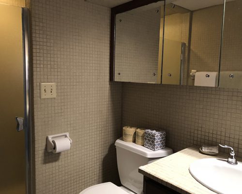 downstairs-bathroom