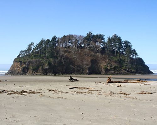 neskowin-proposal-rock