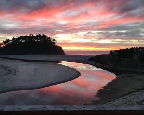 296A3A51-BE97-4DBD-AC77-0D4EBCC75513