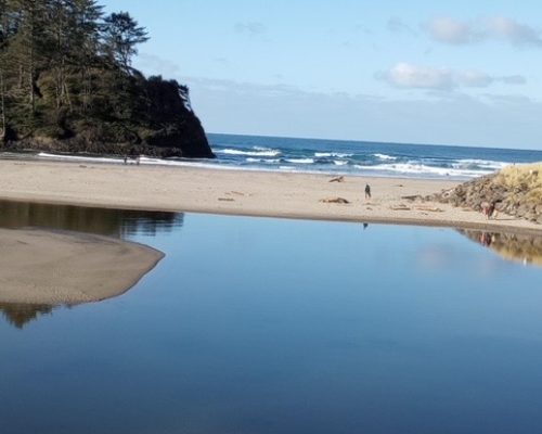 F4C97E93-3758-48BF-B563-EC08FEA29EBA