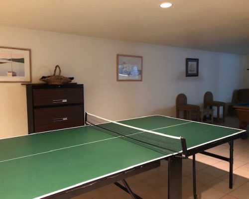 ping-pong1