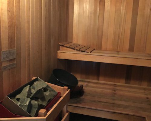sauna1